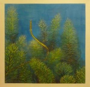 Julie Moller, Southern Gulf Pipefish - too precious to lose